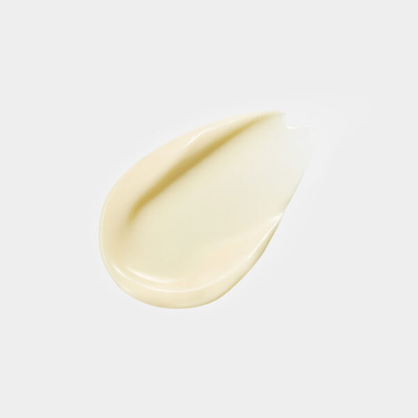 Concentrated Ginseng Renewing Perfecting Cream EX Classic - Image 3